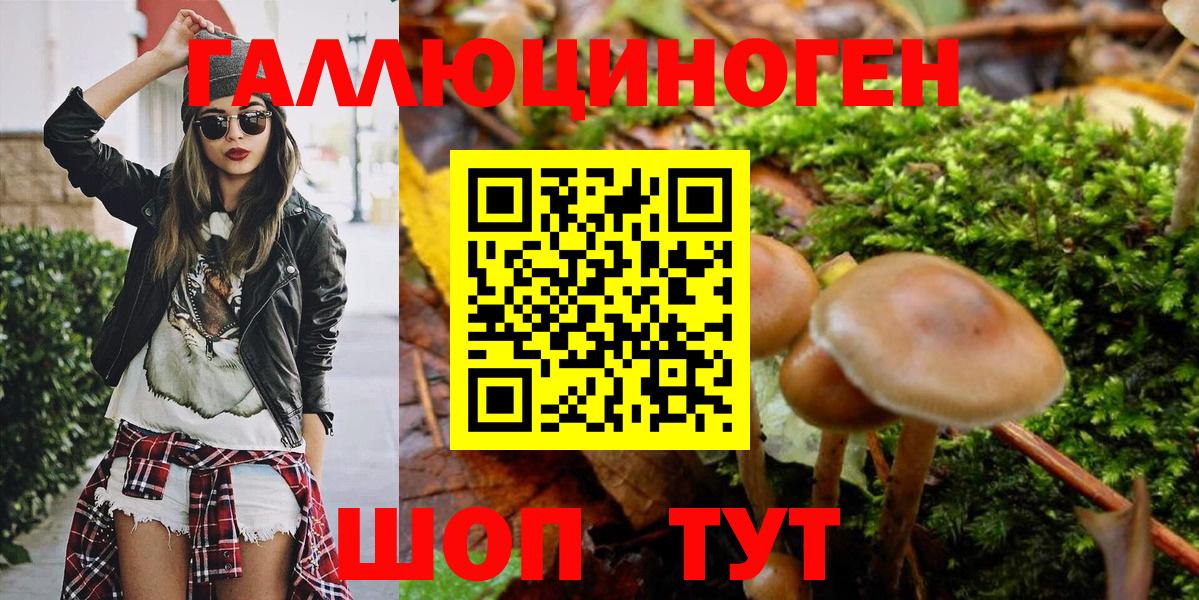Грозный  Псилоцибиновые грибы Magic Shrooms  Вход с VPN  Псилоцибиновые грибы MAGIC MUSHROOMS 